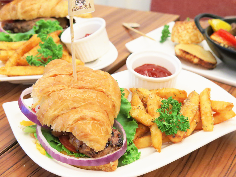 1501304556-3922762993_l.jpg?v=1501304952