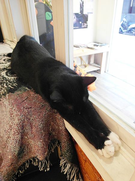 67639-1499941028-3142276559_n.jpg?v=1499951939