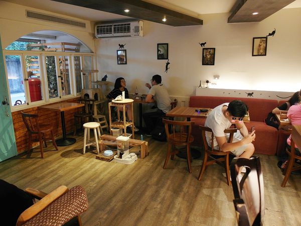 67639-1499940904-4179205472_n.jpg?v=1499951939