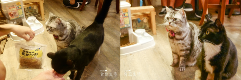 67738-1501231027-2516885162_thumb.png?v=1501231029