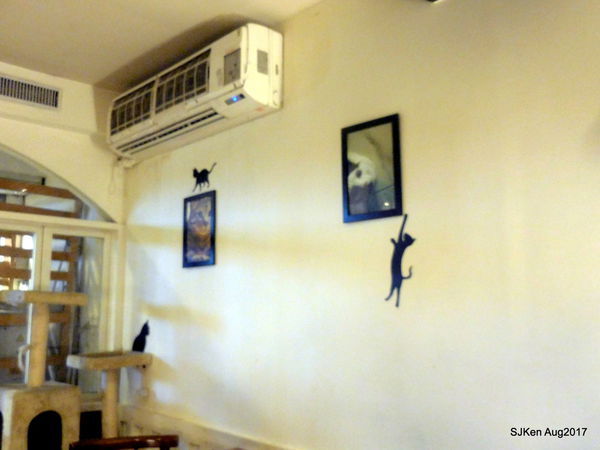 1502287873-71466548_n.jpg?v=1502291430