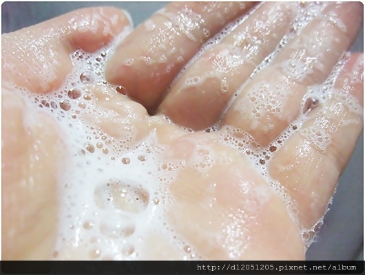 67985-1501626550-373372695.jpg?v=1501626555