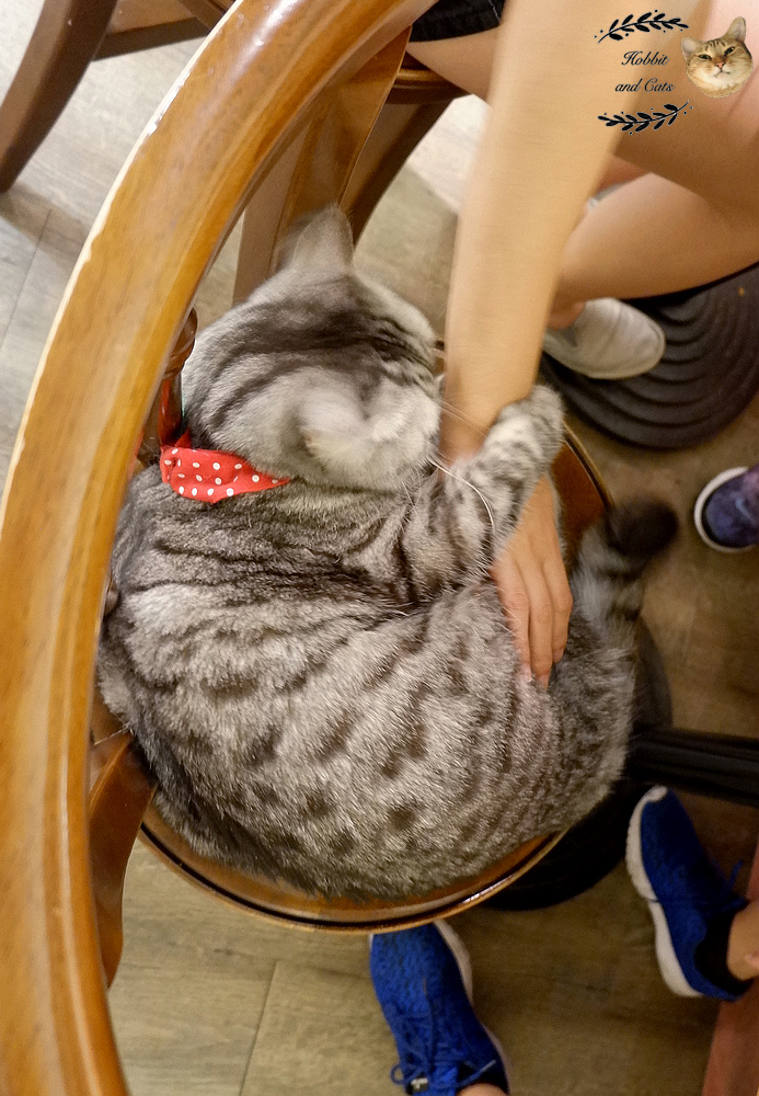 67988-1502122951-4089645863.jpg?v=1502122986