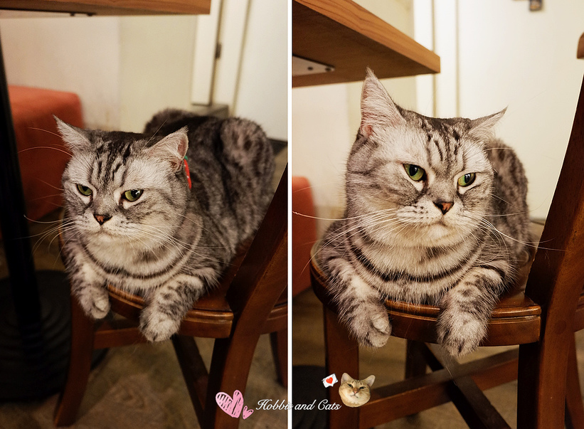 67988-1502122927-89236929_thumb.jpg?v=1502122985