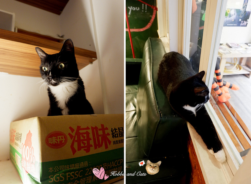 67988-1502122937-3321114052_thumb.jpg?v=1502122985