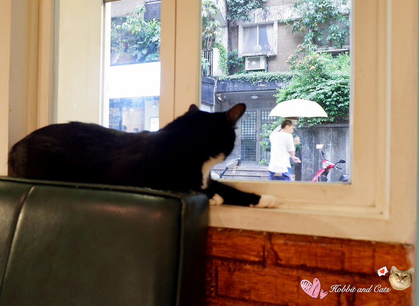 67988-1502122941-3438181465_thumb.jpg?v=1502122986