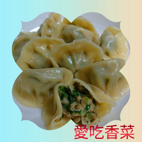 1503066767-1805689703_n.jpg?v=1503066813