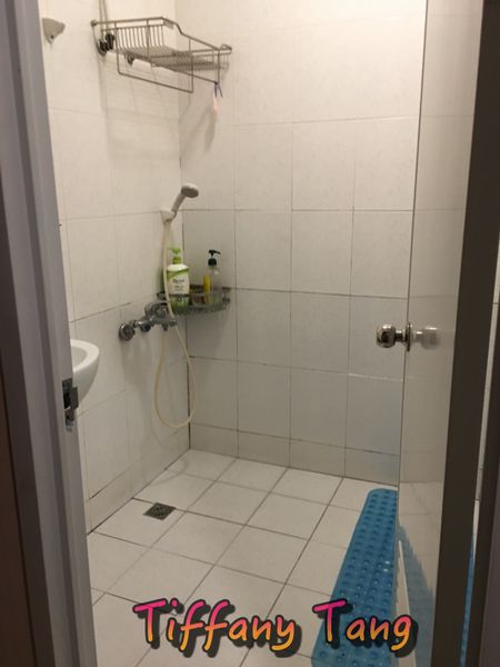 68165-1501595287-305893345_n.jpg?v=1501595289