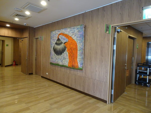 68233-1501344667-1115088870_n.jpg?v=1501348582