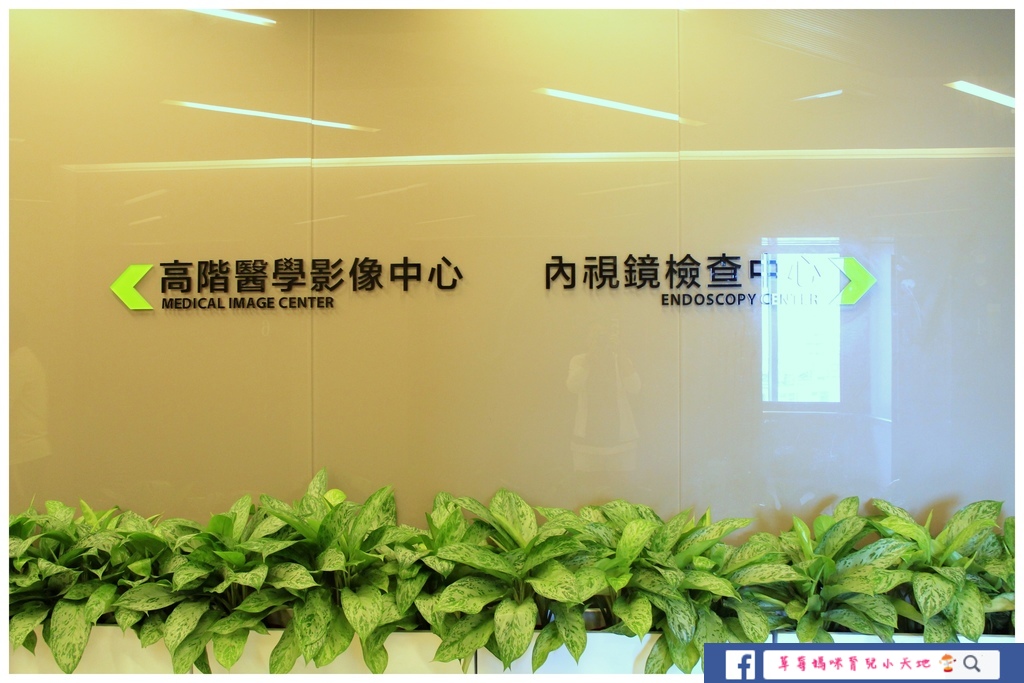 1500679027-4219070965_l.jpg?v=1500679078