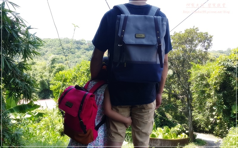 1502021659-2865623545.jpg?v=1502021685