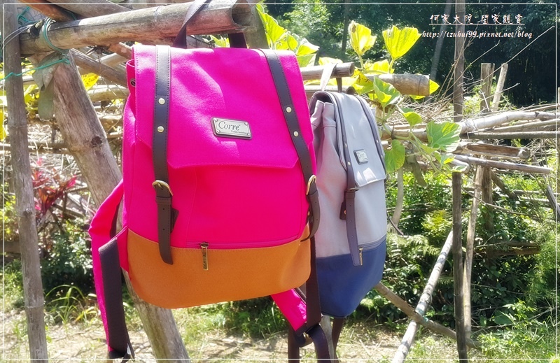 1502021660-3733005296.jpg?v=1502021685