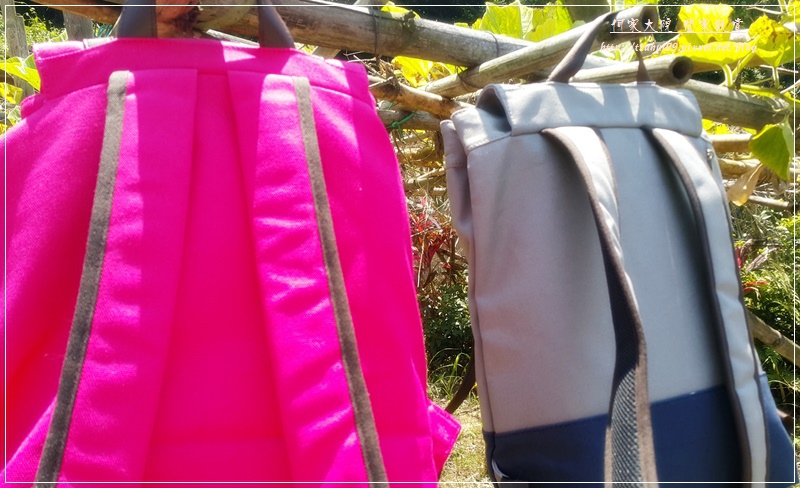 1502021639-1746526937.jpg?v=1502021685