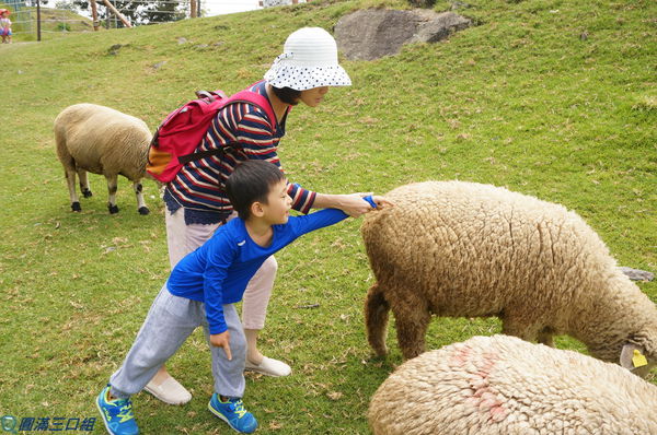 69224-1502025789-2666117539_n.jpg?v=1502025926