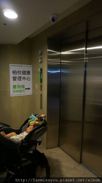 69233-1500394848-1062938356_n.jpg?v=1500395047