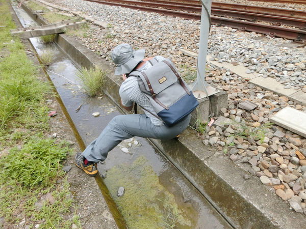 69511-1501067287-4082476129_n.jpg?v=1501067313