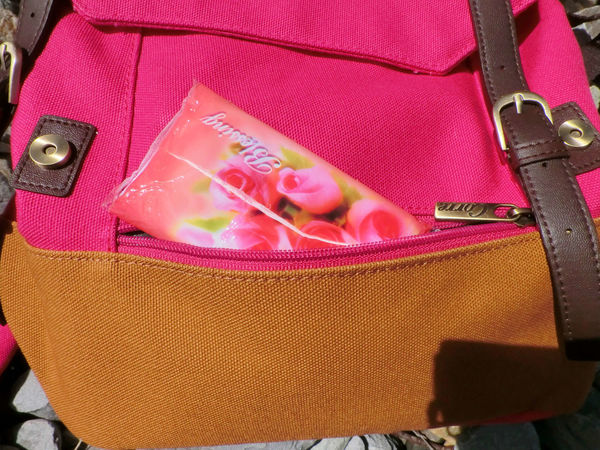 69511-1501067279-1226600088_n.jpg?v=1501067313