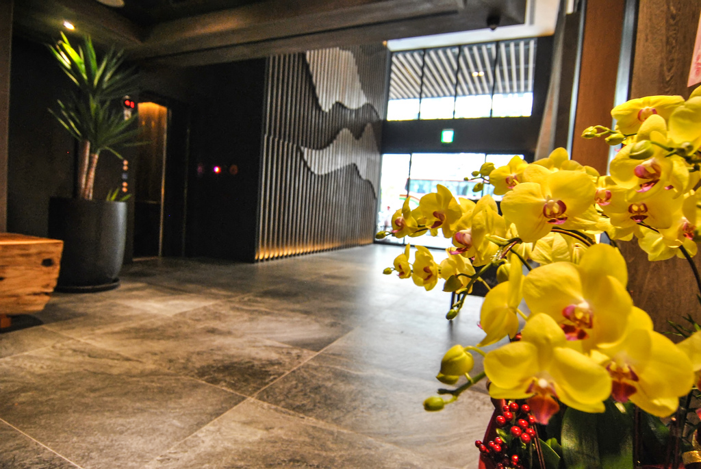 1503234152-3445979776_l.jpg?v=1503235829