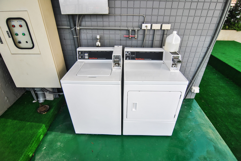 1503234453-744233902_l.jpg?v=1503235835