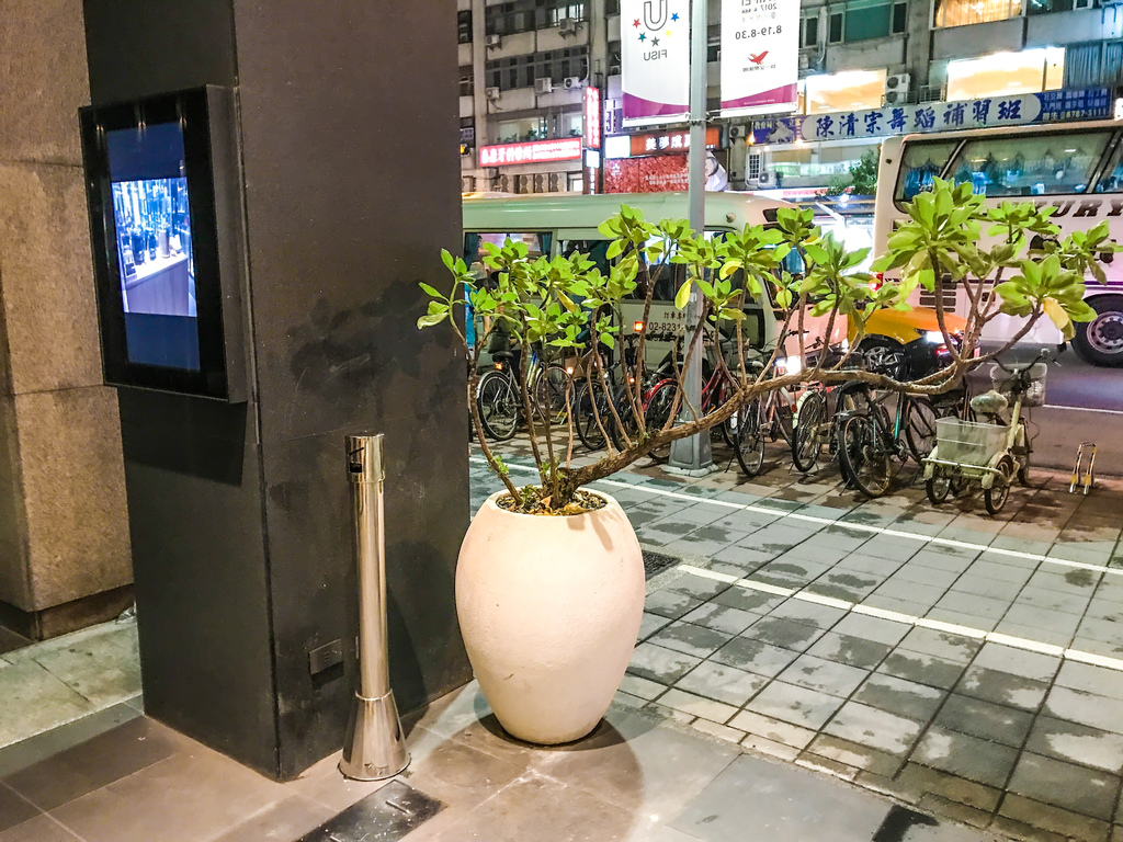 1503234093-1577060518_l.jpg?v=1503235827