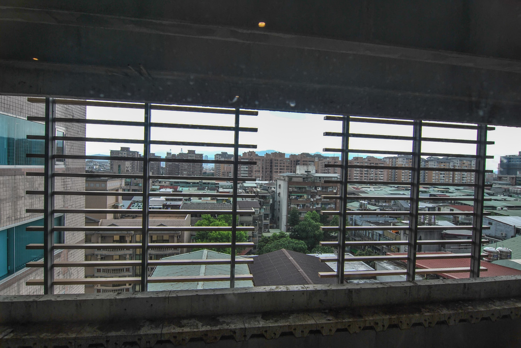 1503234229-366764483_l.jpg?v=1503235830