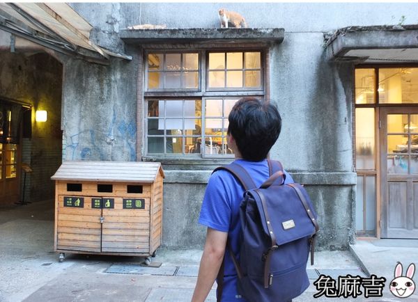 69902-1501296095-3822284483_n.jpg?v=1501296480