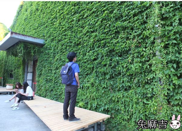 69902-1501296118-3304249704_n.jpg?v=1501296479