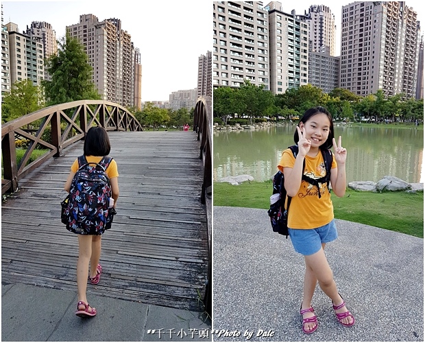 1502788549-1703411424.jpg?v=1502788574