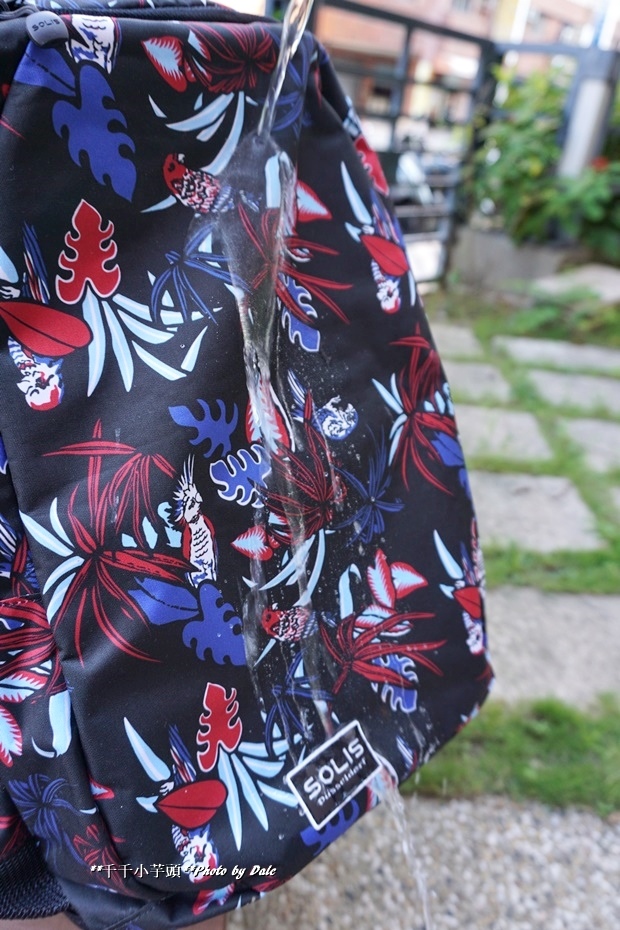 1502788543-2905903141.jpg?v=1502788574