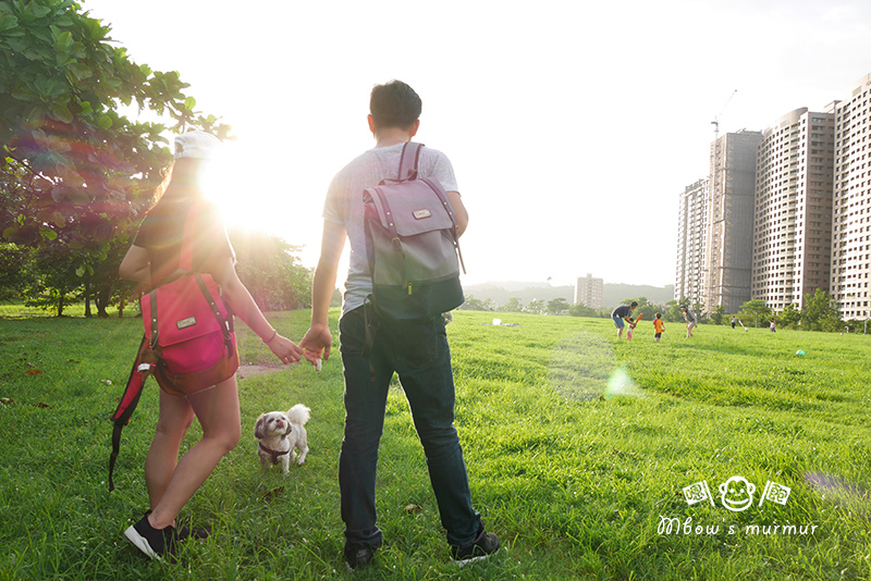 1502122381-3264937052.jpg?v=1502123205