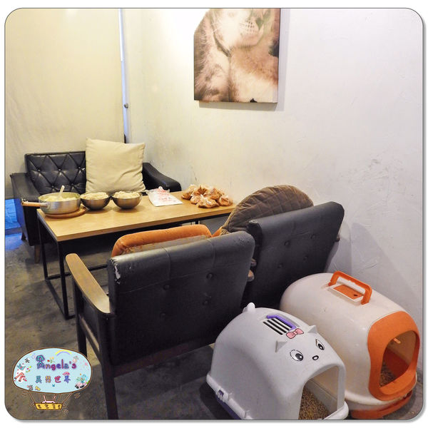 1501844371-2351439174_n.jpg?v=1501844422