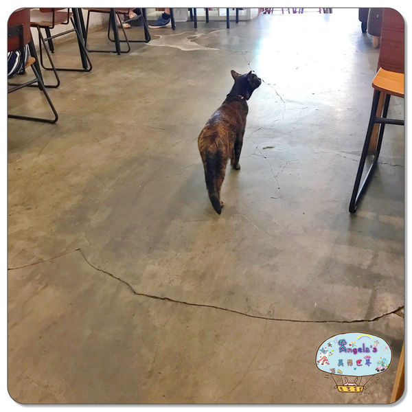 1501844372-2560483790_n.jpg?v=1501844422