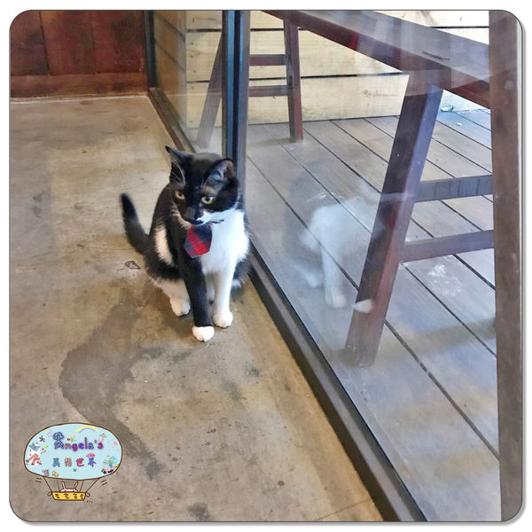 1501844373-3791993367_n.jpg?v=1501844422