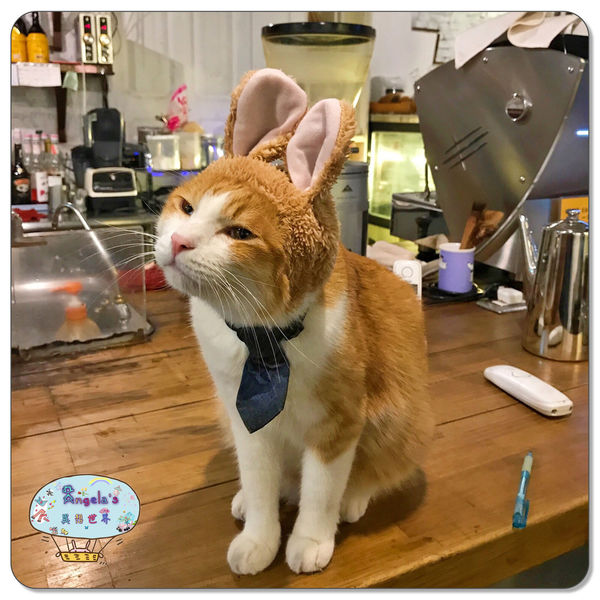 1501844374-956241537_n.jpg?v=1501844422