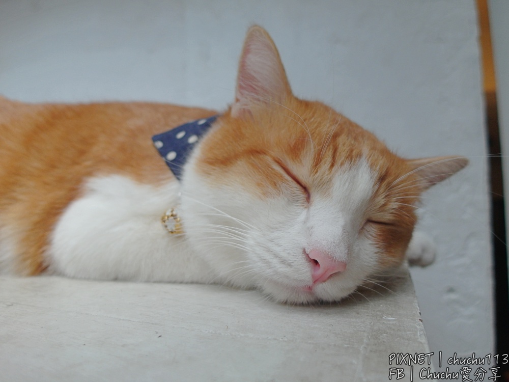 1503847802-1288889207.jpg?v=1503847863