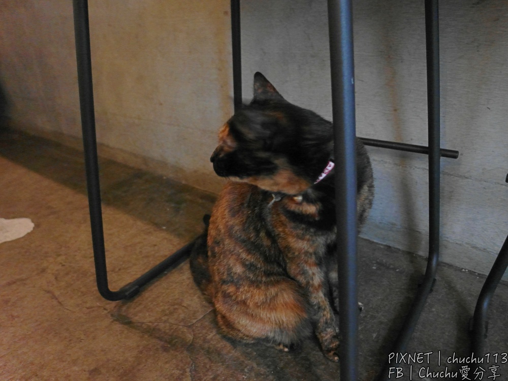 1503847832-4159617546.jpg?v=1503847864