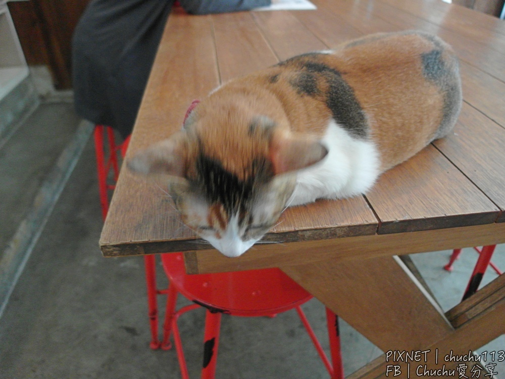 1503847790-3697650259.jpg?v=1503847863