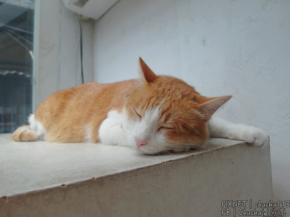 1503847803-1351231342.jpg?v=1503847863