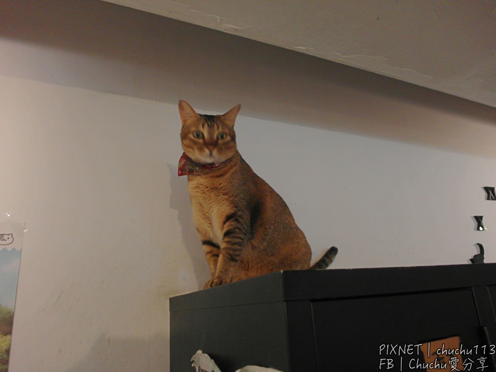 1503847795-1258450763.jpg?v=1503847863