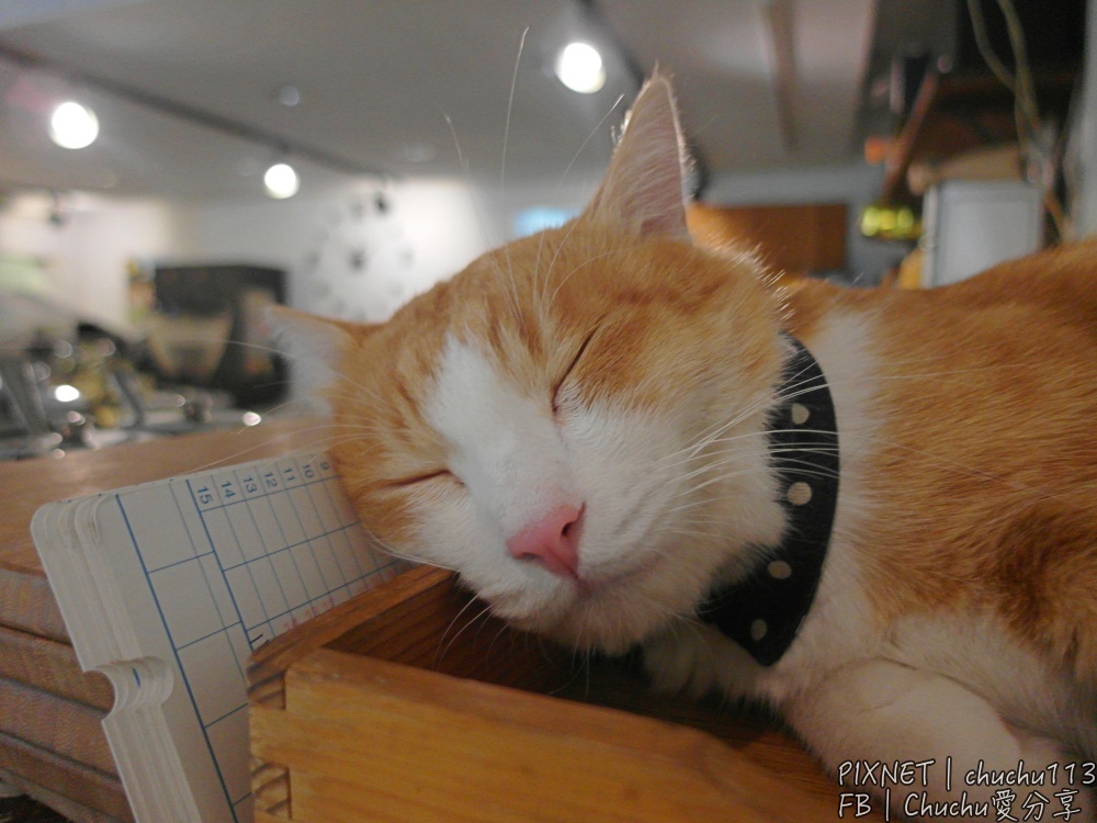 1503847830-3190171261.jpg?v=1503847863