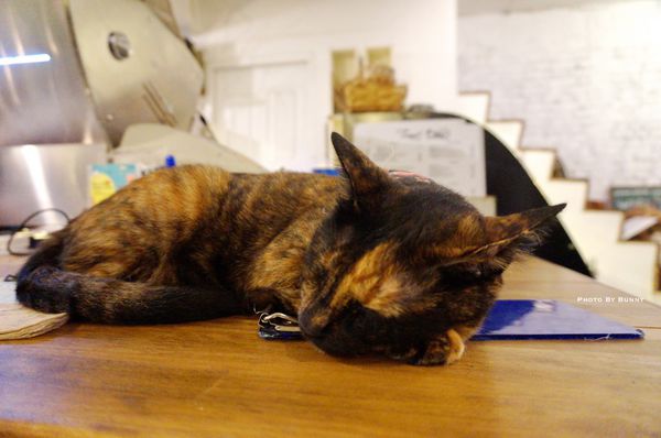 1503769063-314863552_n.jpg?v=1503769064