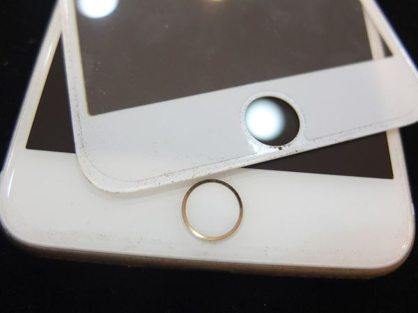 70391-1501487952-303331713_n.jpg?v=1501487966