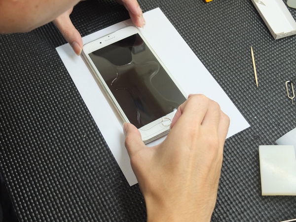 70391-1501637141-1602188265_n.jpg?v=1501637213