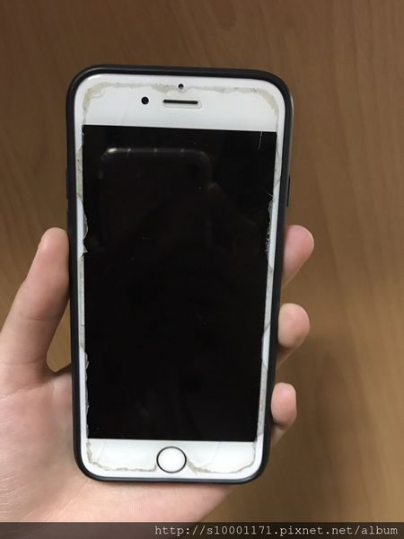 1501385084-4234139915_n.jpg?v=1503717568