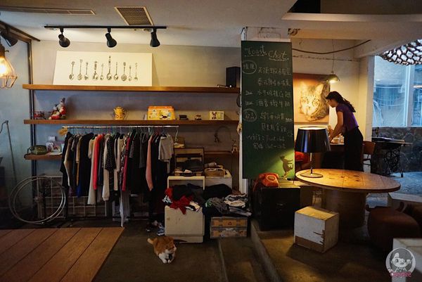 1503821107-3811928211_n.jpg?v=1503821665