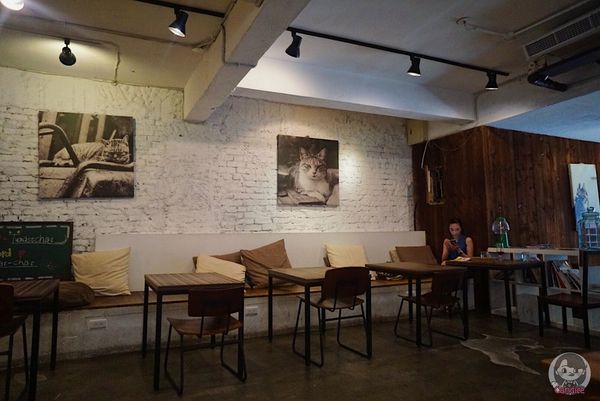 1503821104-1355319037_n.jpg?v=1503821665