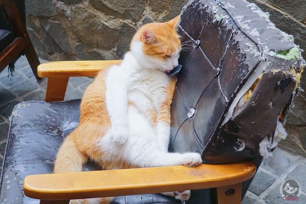 1503821116-4703012_n.jpg?v=1503821666