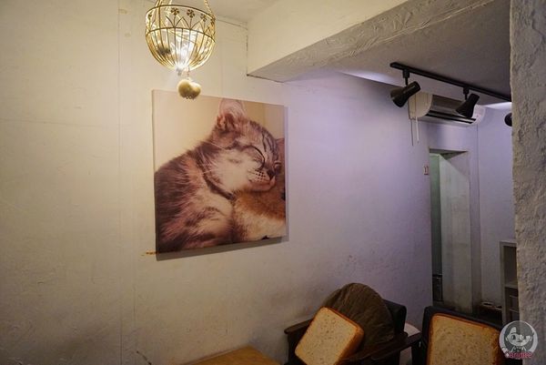 1503821095-3348400440_n.jpg?v=1503821664