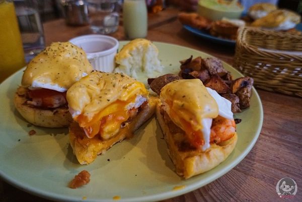 1503821106-797437751_n.jpg?v=1503822597