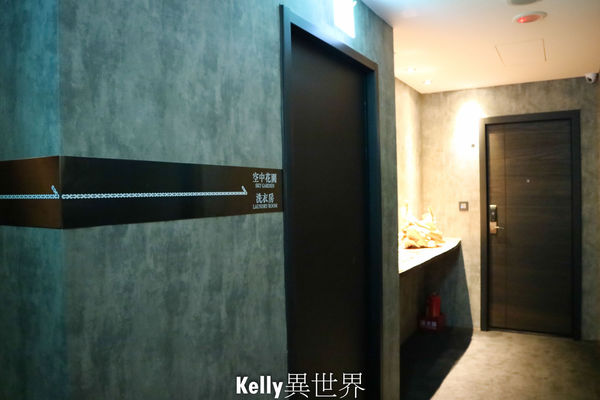 1503415613-1573040764_n.jpg?v=1503416006